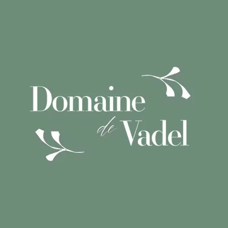 Domaine De Vadel 度假居