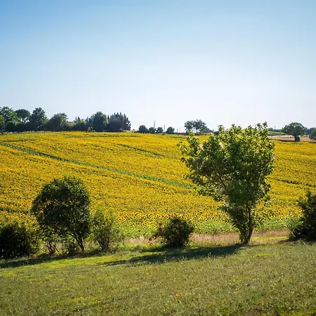 Domaine De Vadel 度假居 *