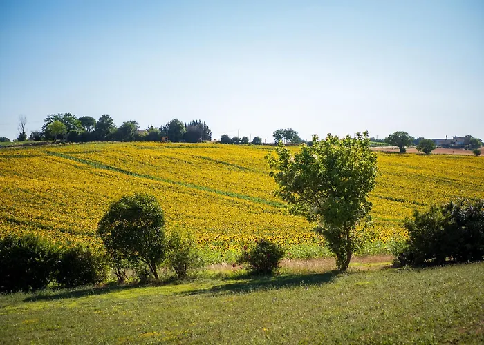 Domaine De Vadel Ferienhaus *